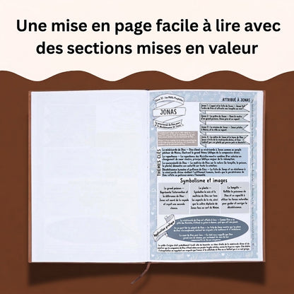 BSFR3-VF